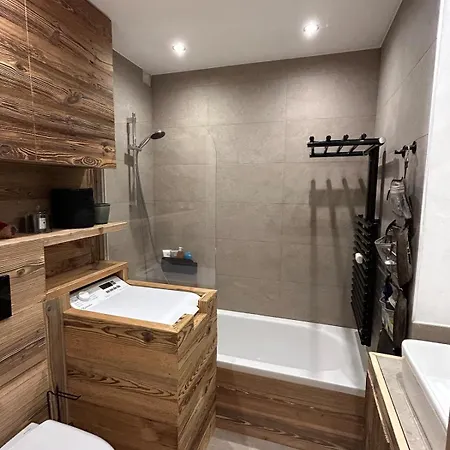 公寓 Megeve-fully Renovated Appartment- 10mn From Village 梅杰夫